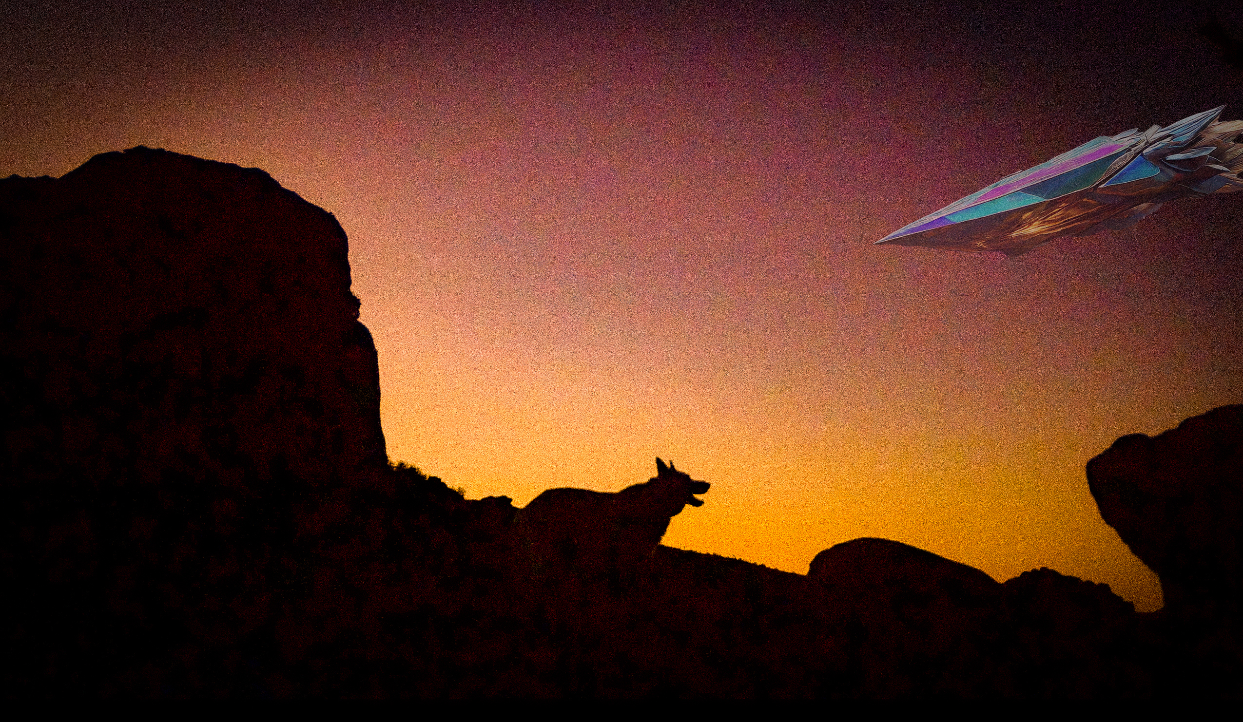 Eyes on the Skies: The Close Encounters of Ethan Flower